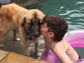 Alex_MooseDiscoversPool (33)